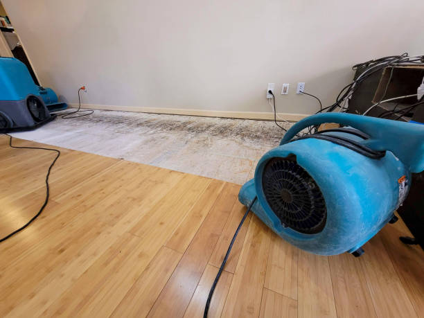 Professional Structural Drying technician working in Hereford, TX